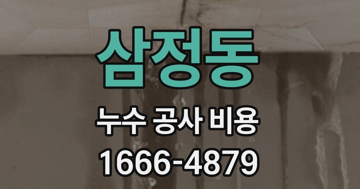 삼정동 누수 공사 비용