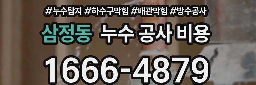 삼정동 누수 공사 비용