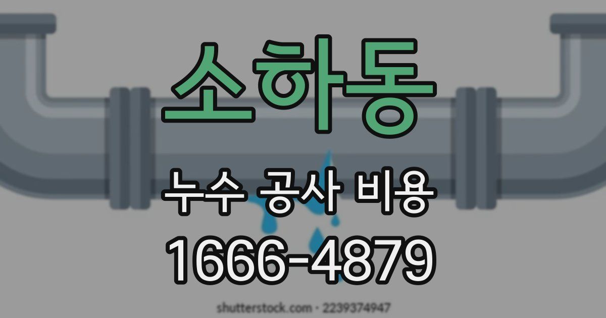 소하동 누수 공사 비용