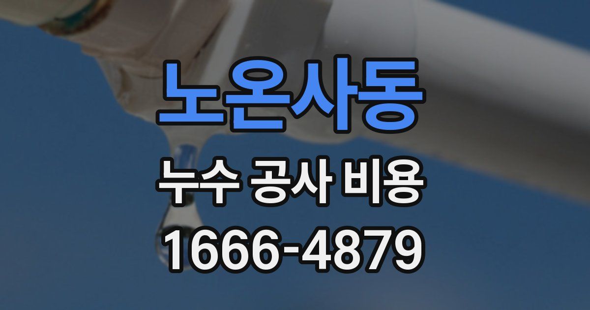 노온사동 누수 공사 비용