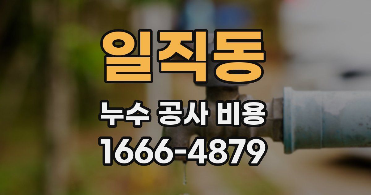 일직동 누수 공사 비용