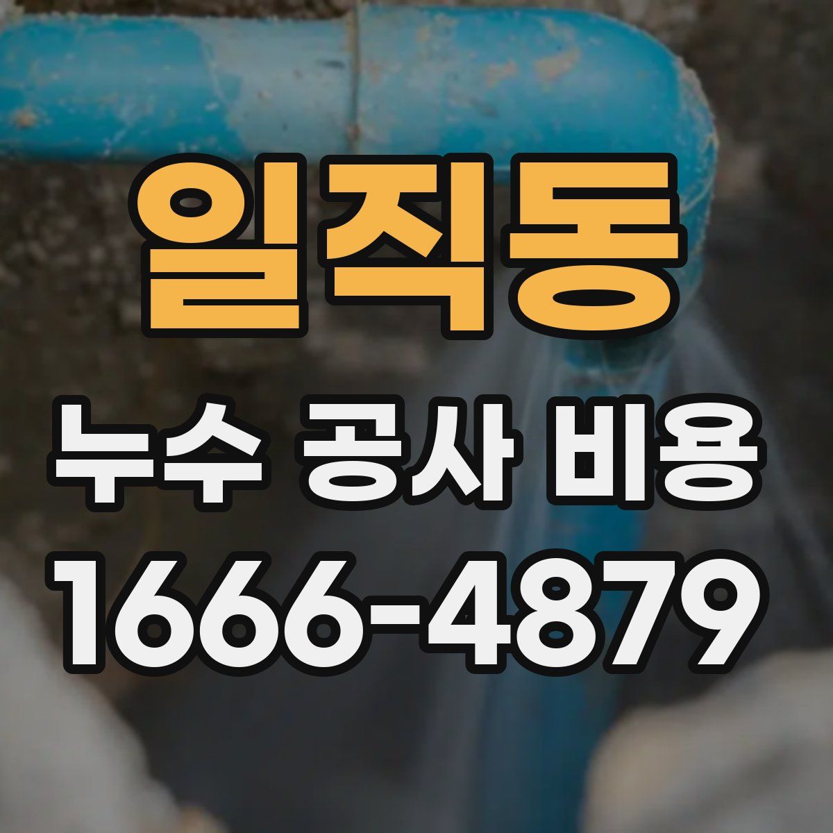 일직동 누수 공사 비용