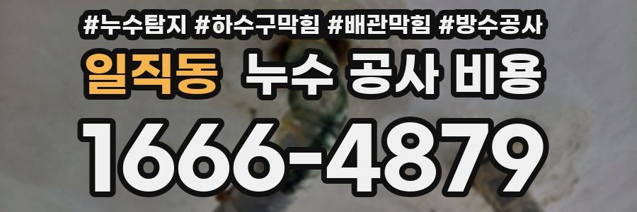 일직동 누수 공사 비용