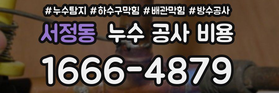 서정동 누수 공사 비용