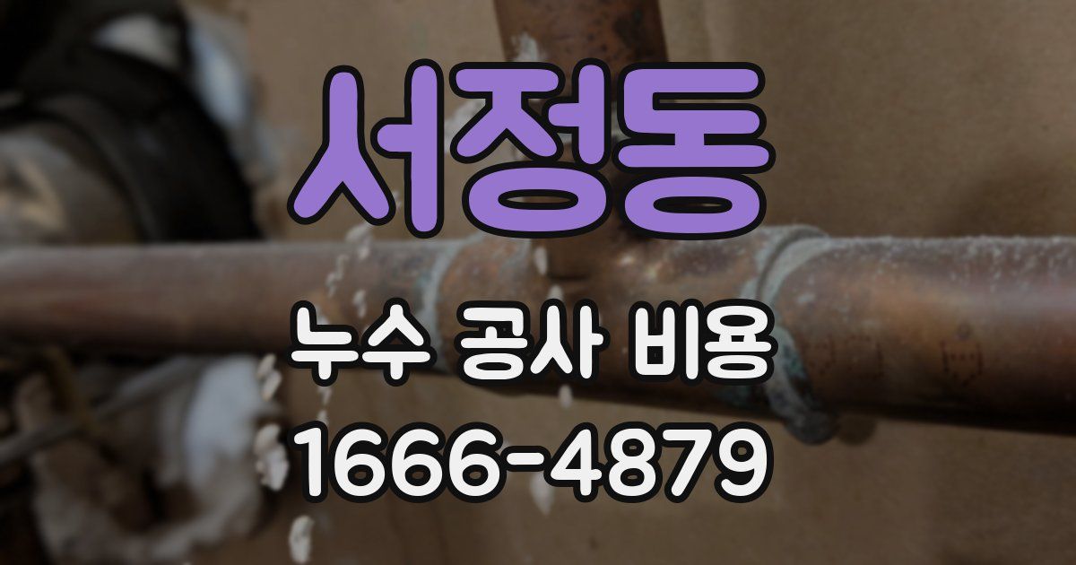 서정동 누수 공사 비용