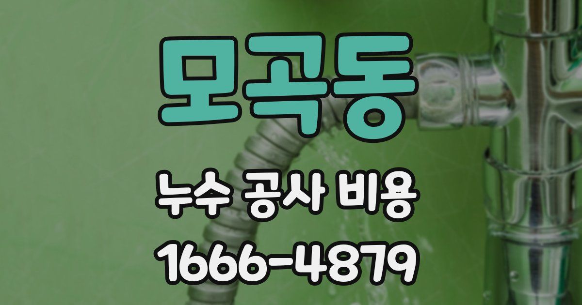 모곡동 누수 공사 비용