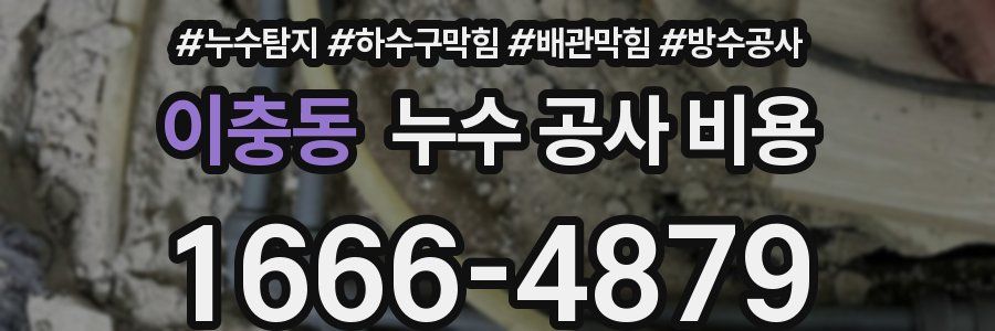 이충동 누수 공사 비용