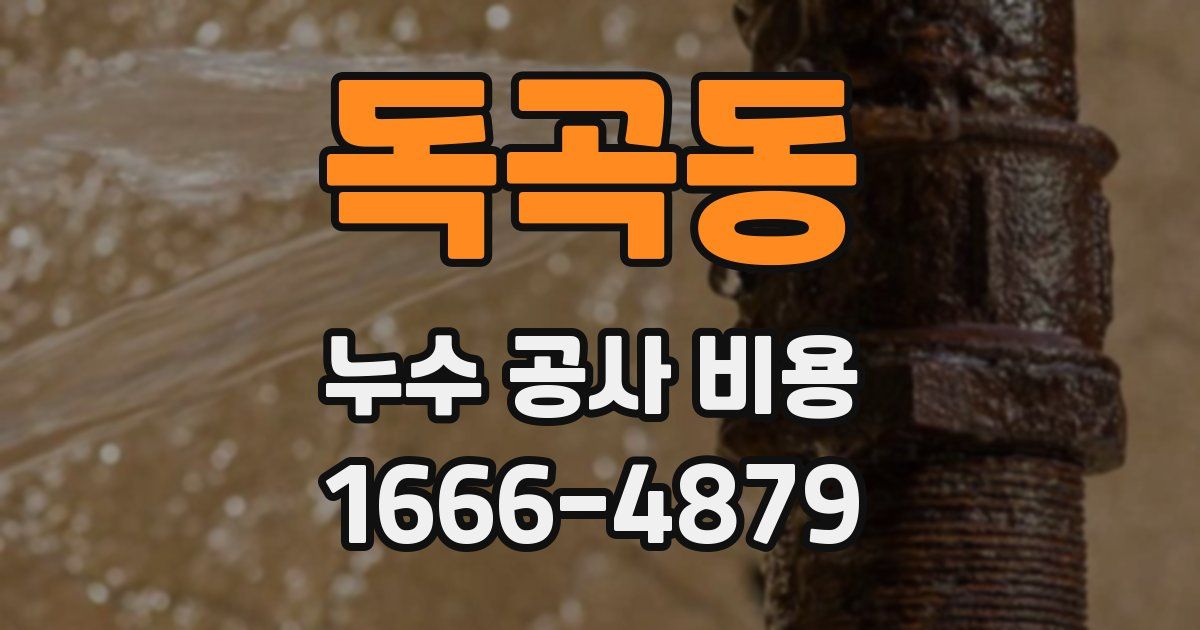 독곡동 누수 공사 비용