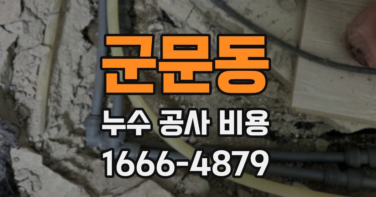 군문동 누수 공사 비용
