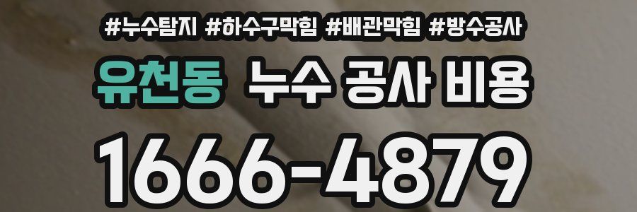 유천동 누수 공사 비용