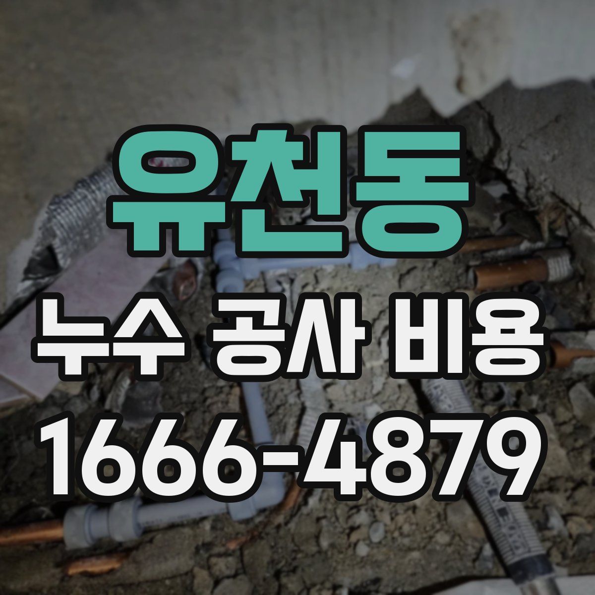 유천동 누수 공사 비용