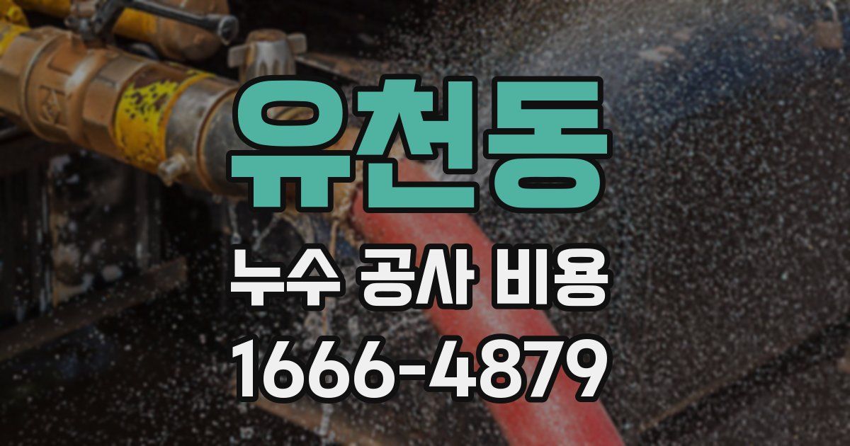 유천동 누수 공사 비용