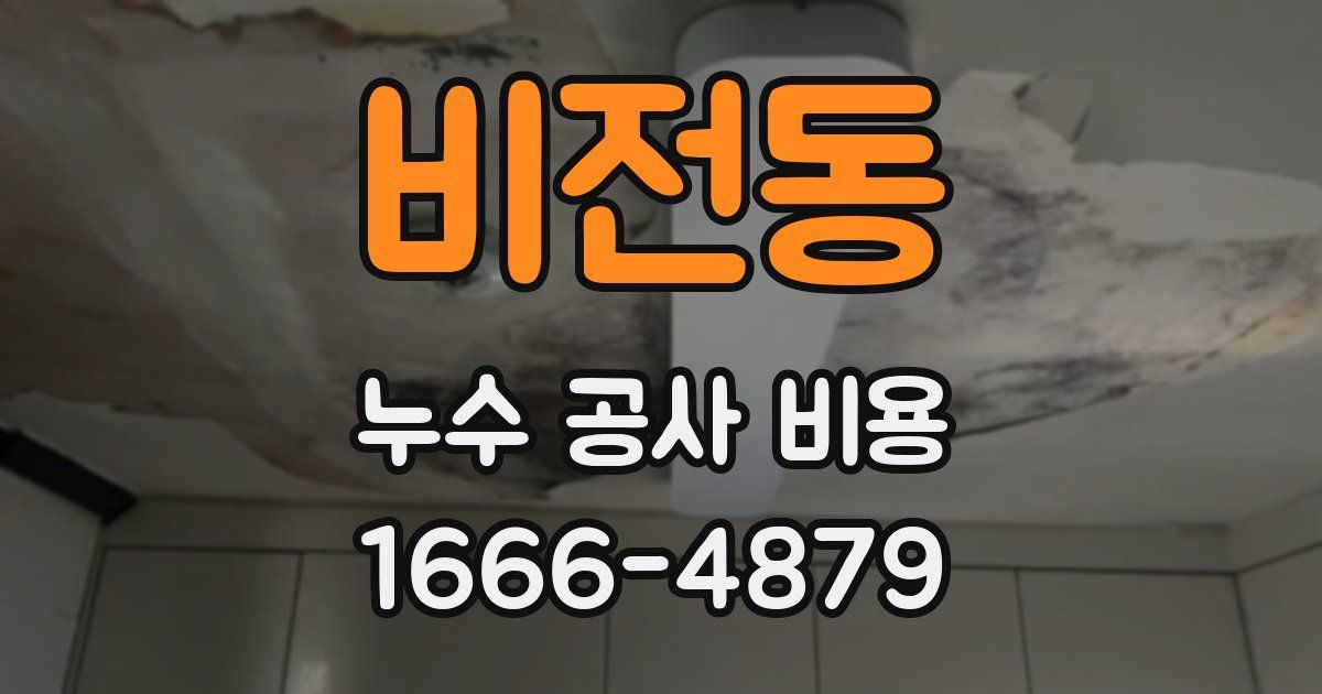 비전동 누수 공사 비용