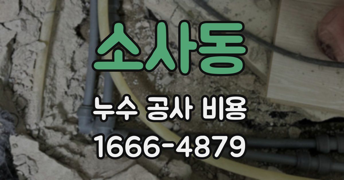 소사동 누수 공사 비용
