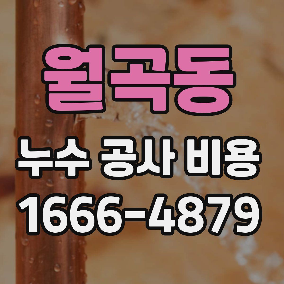 월곡동 누수 공사 비용
