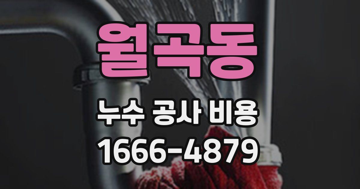 월곡동 누수 공사 비용