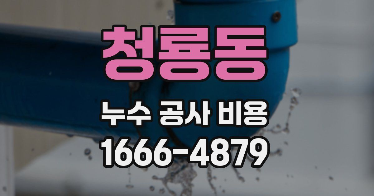 청룡동 누수 공사 비용