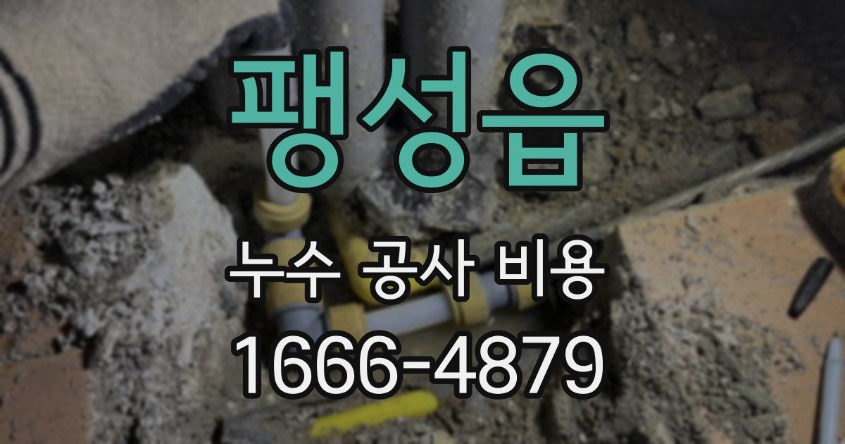 팽성읍 누수 공사 비용