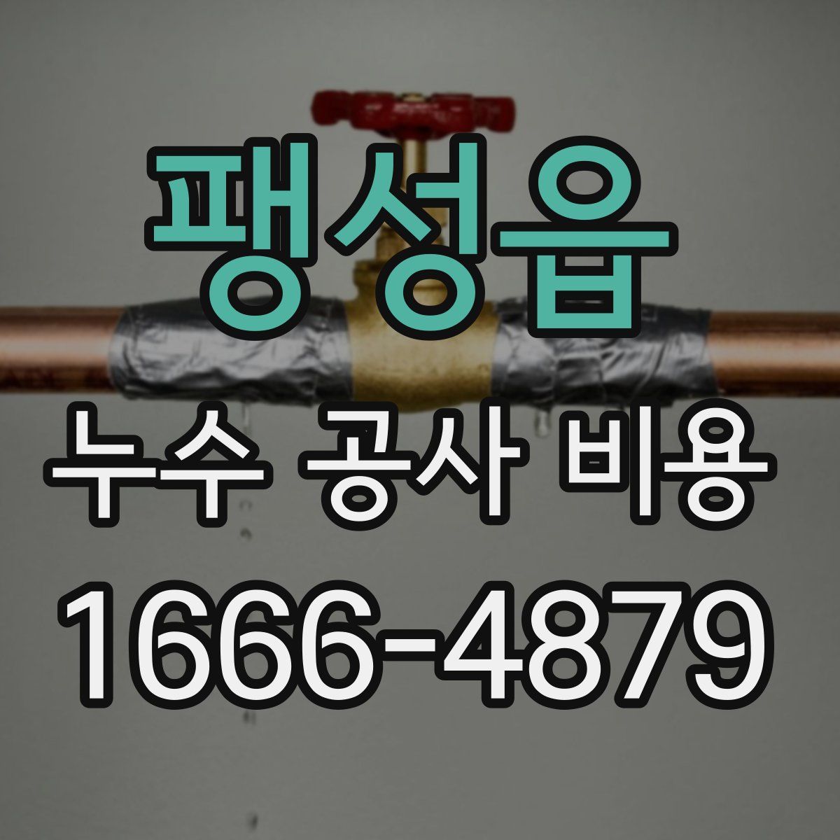 팽성읍 누수 공사 비용