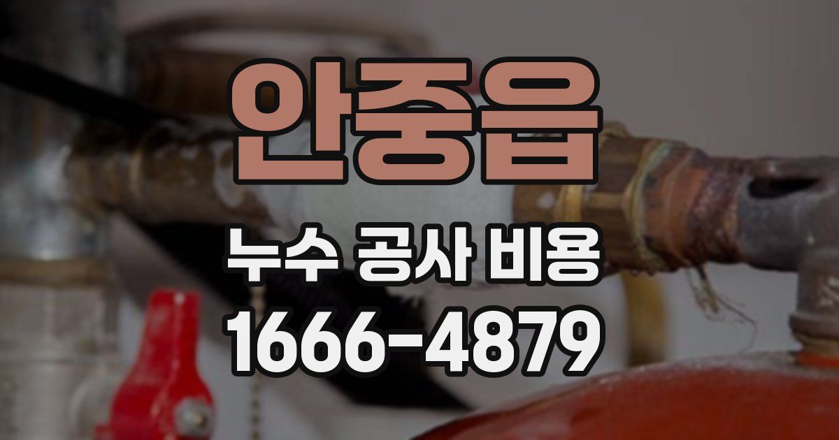 안중읍 누수 공사 비용
