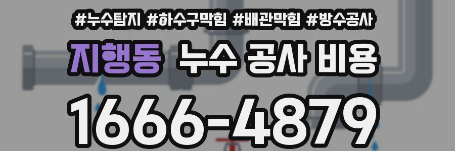 지행동 누수 공사 비용