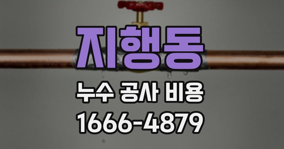 지행동 누수 공사 비용