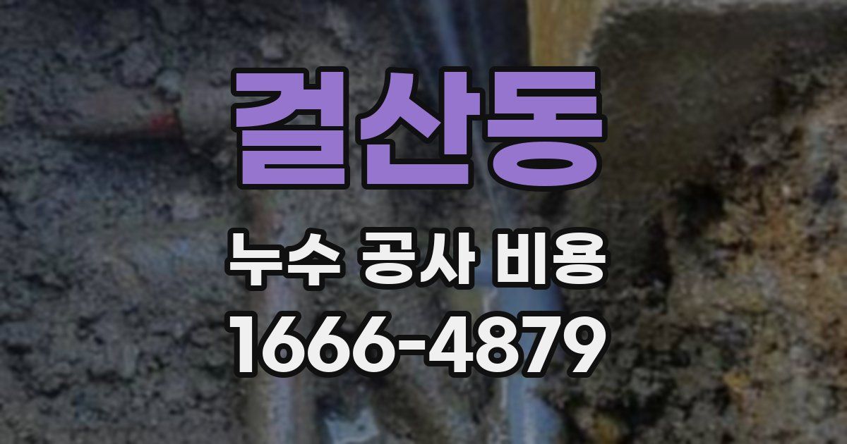 걸산동 누수 공사 비용