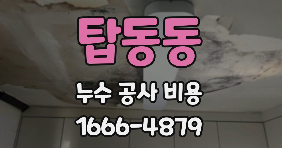 탑동동 누수 공사 비용