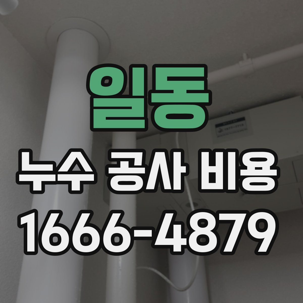 일동 누수 공사 비용