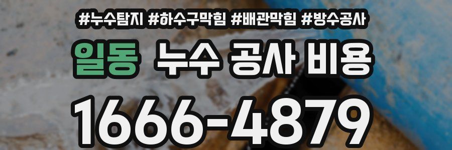 일동 누수 공사 비용