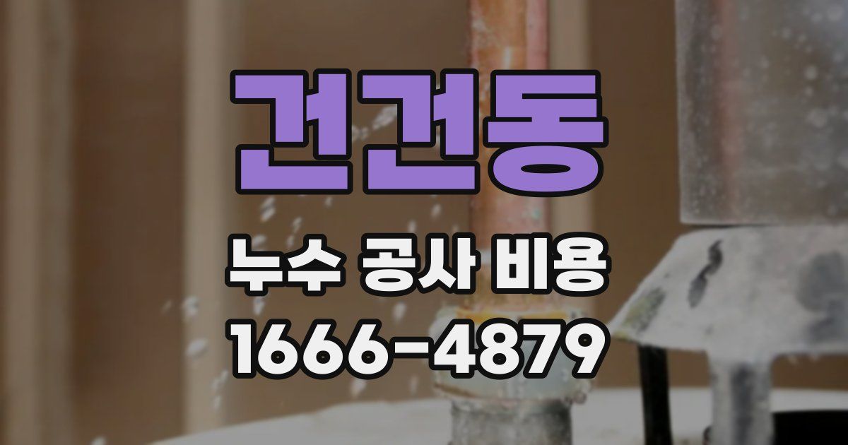 건건동 누수 공사 비용