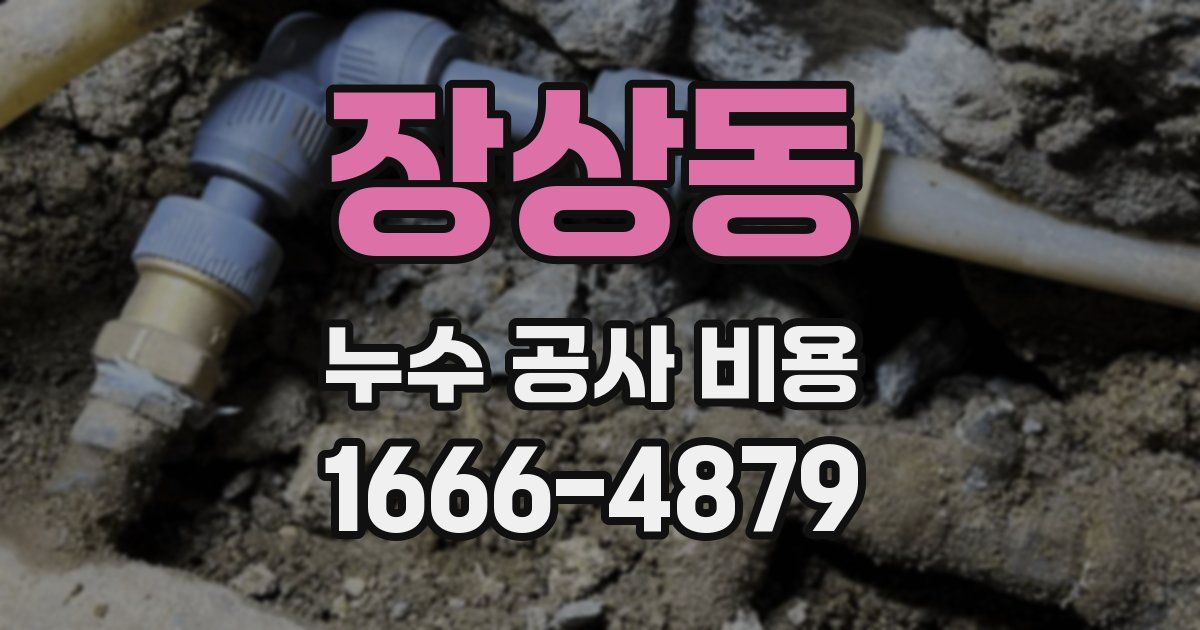 장상동 누수 공사 비용