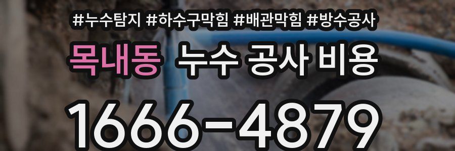 목내동 누수 공사 비용