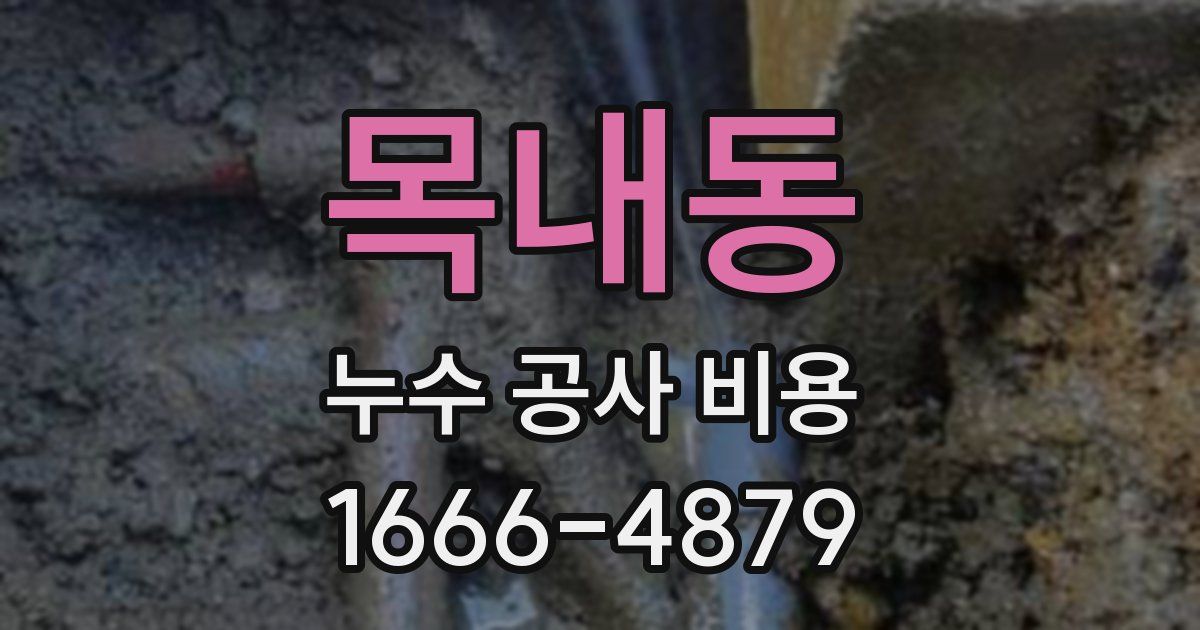 목내동 누수 공사 비용