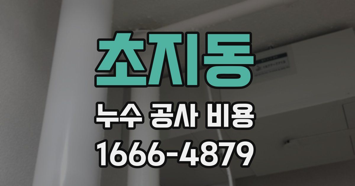 초지동 누수 공사 비용