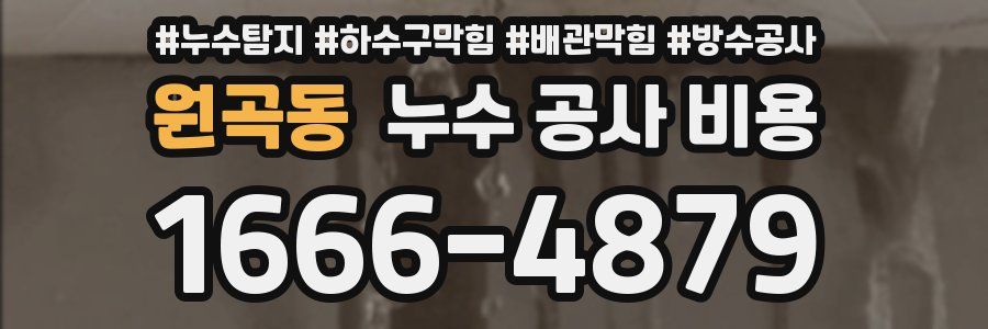 원곡동 누수 공사 비용