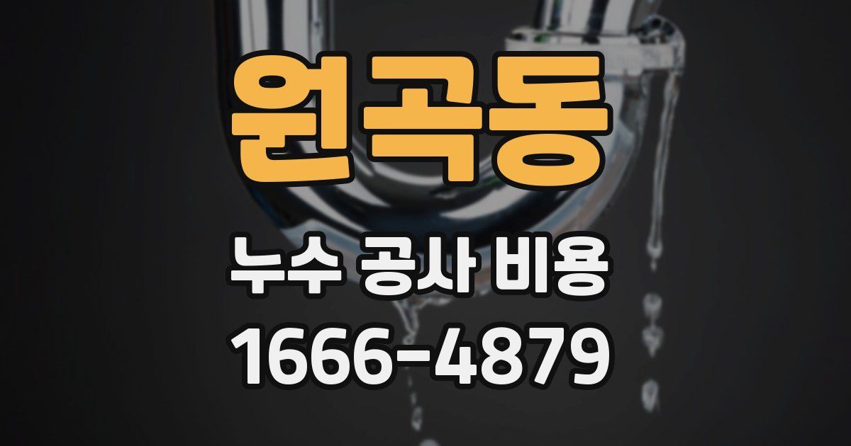 원곡동 누수 공사 비용