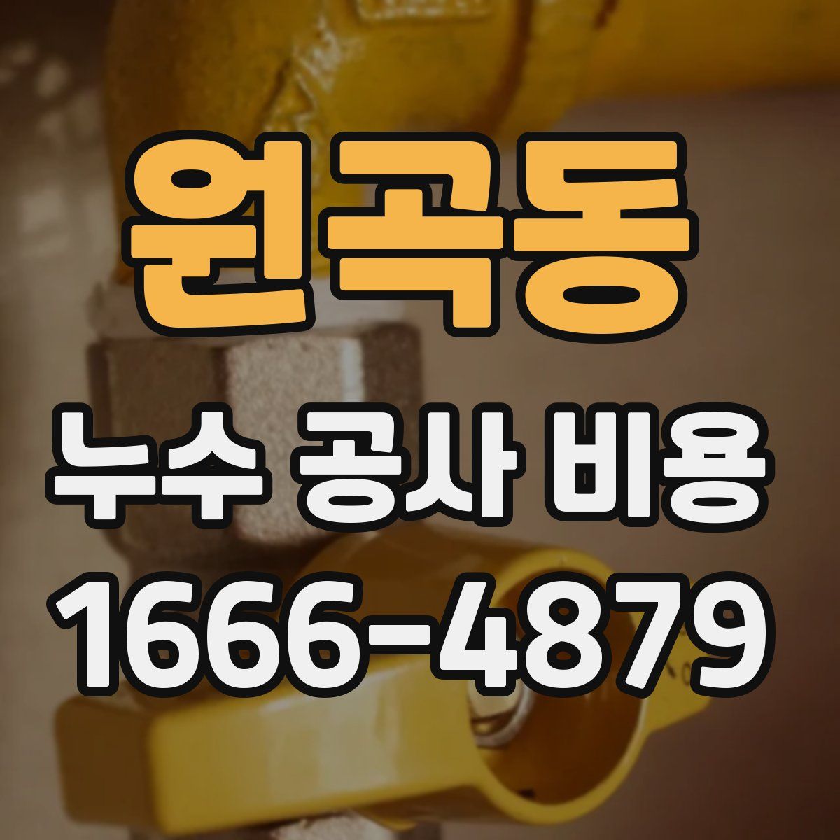 원곡동 누수 공사 비용
