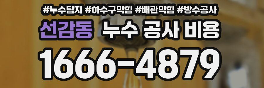 선감동 누수 공사 비용
