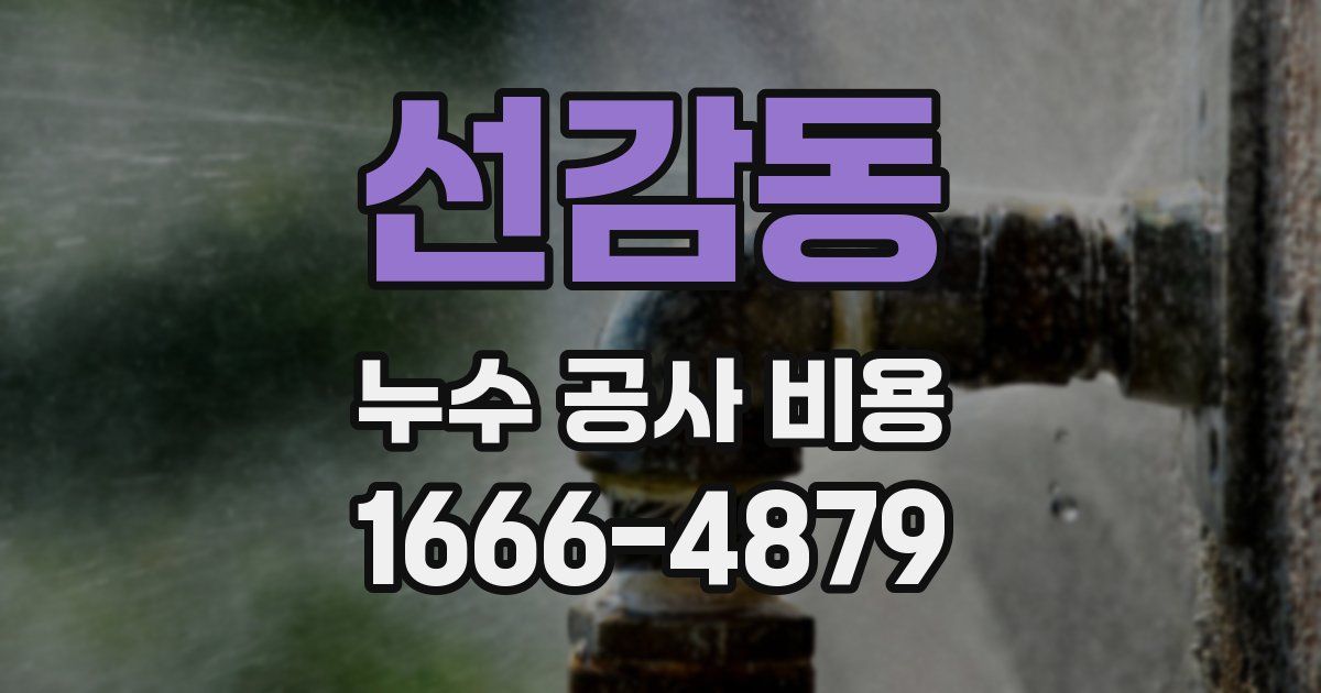 선감동 누수 공사 비용