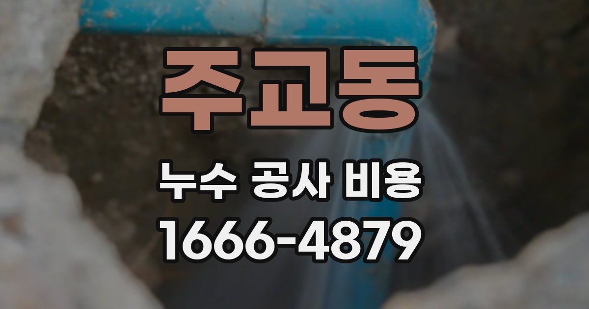 주교동 누수 공사 비용