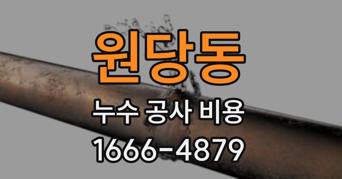 원당동 누수 공사 비용