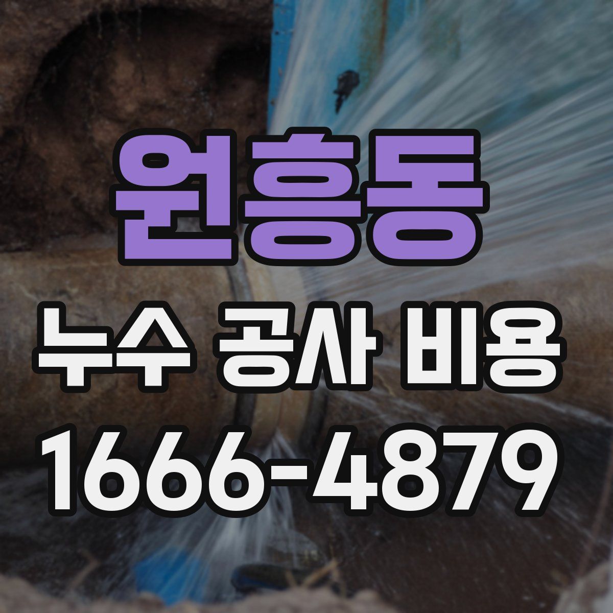원흥동 누수 공사 비용