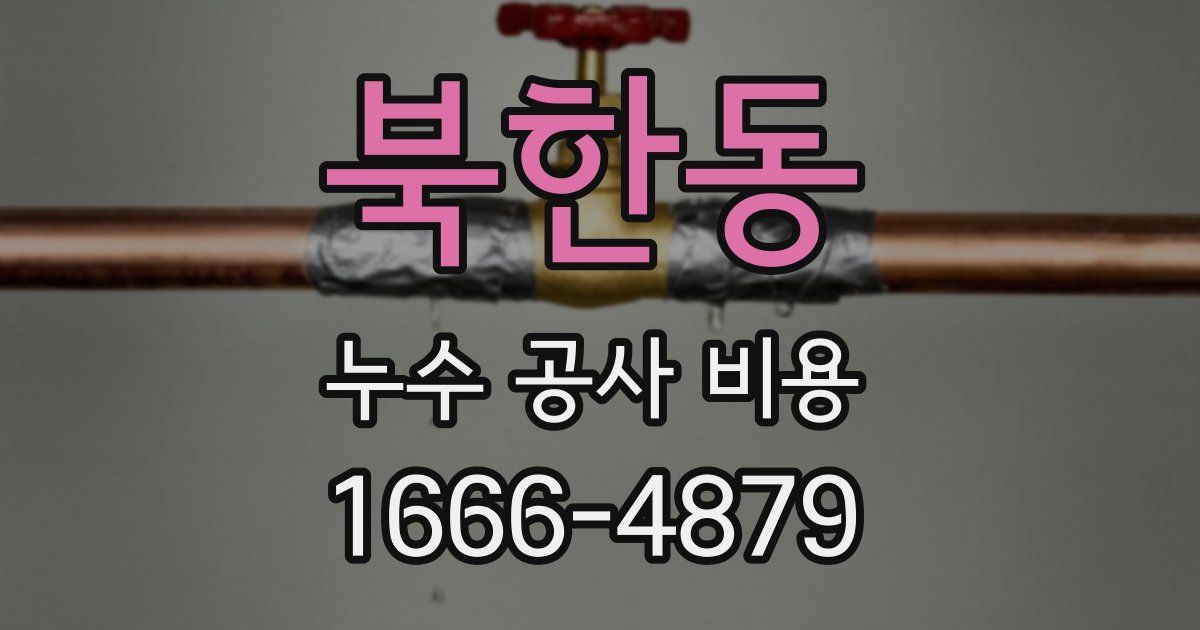 북한동 누수 공사 비용