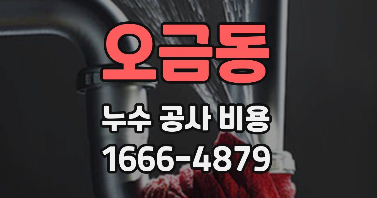 오금동 누수 공사 비용