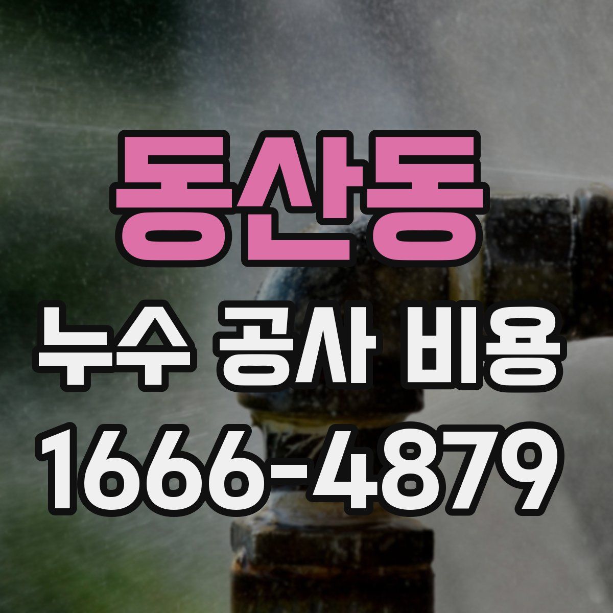 동산동 누수 공사 비용