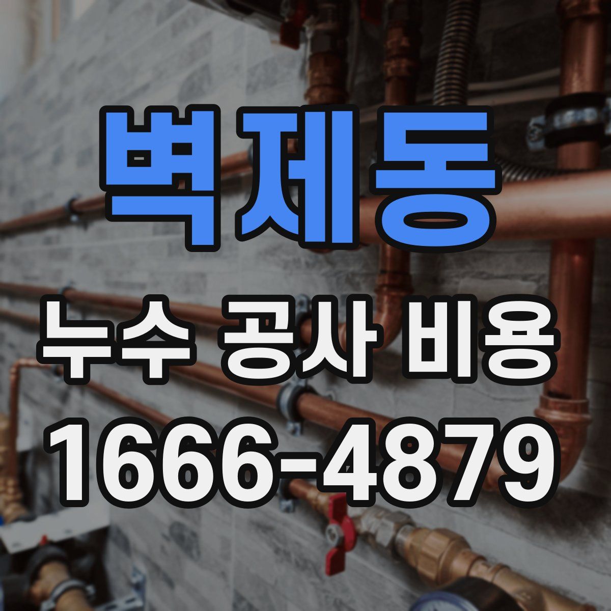 벽제동 누수 공사 비용