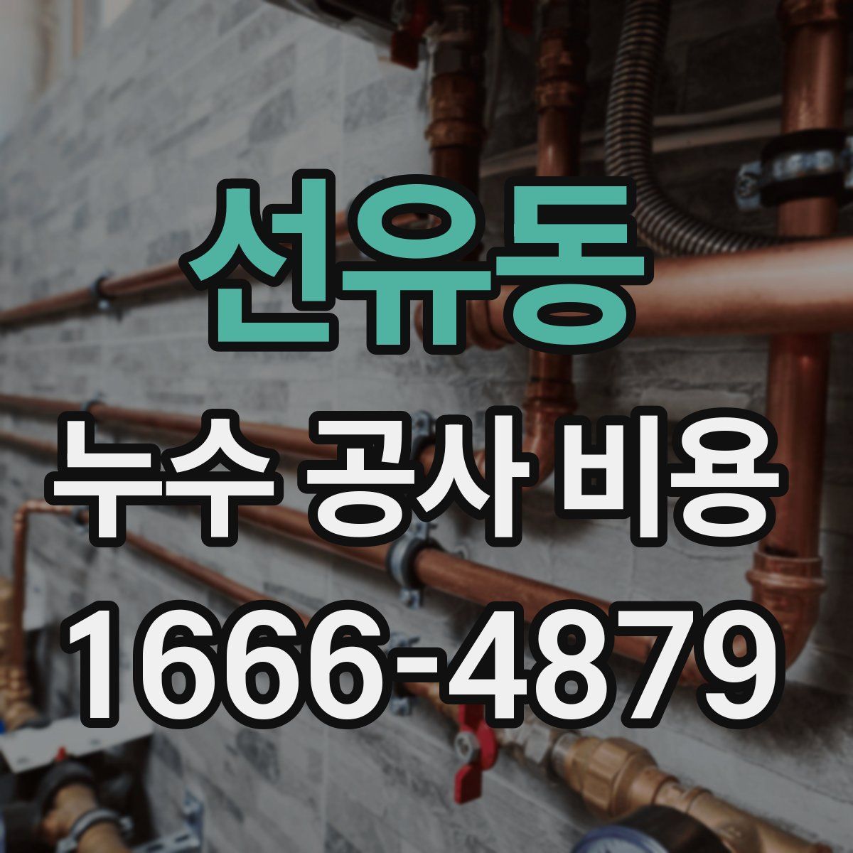 선유동 누수 공사 비용