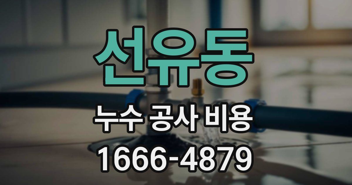 선유동 누수 공사 비용