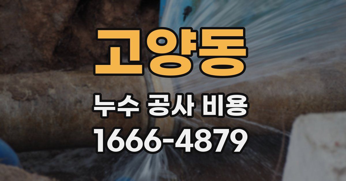 고양동 누수 공사 비용